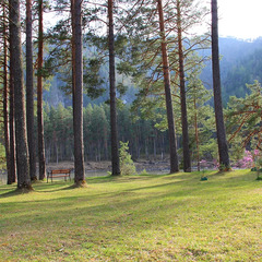 База отдыха ЭРАНДЭЛ, Чемальский район, Республика Алтай