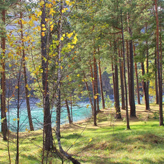 База отдыха ЭРАНДЭЛ, Чемальский район, Республика Алтай