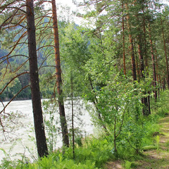 База отдыха ЭРАНДЭЛ, Чемальский район, Республика Алтай