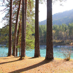 База отдыха ЭРАНДЭЛ, Чемальский район, Республика Алтай