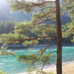 База отдыха ЭРАНДЭЛ, Чемальский район, Республика Алтай