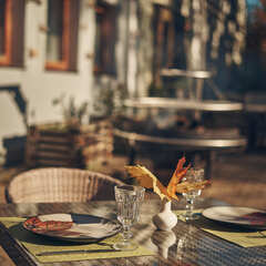 Глэмпинг Под Звенигородом, Одинцово, Московская область