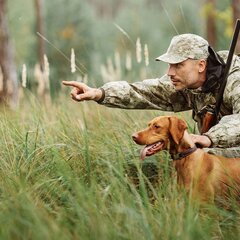 Парк-отель Яркi, Брестская область