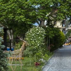 Отель Chveni Ezo, Кобулети