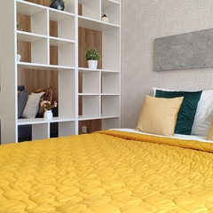 Апартаменты KenigDeluxe на Уральской, Калининград, Калининградская область