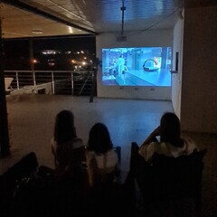 Отель Южный вайб Миракль, Сочи, Краснодарский край