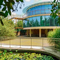 Отель Елочка, Ростов-на-Дону, Ростовская область