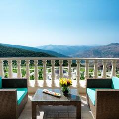 Отель Shamakhi Palace Sharadil , Шемаха