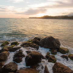 Отель Villa Anna, Краснодарский край