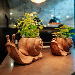 Спа-отель Luciano Hotel & SPA, Казань, Татарстан