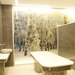 Спа-отель Luciano Hotel & SPA, Казань, Татарстан