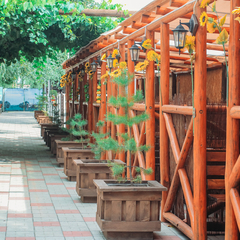 Отель Дилижанс, Яровое, Алтайский край