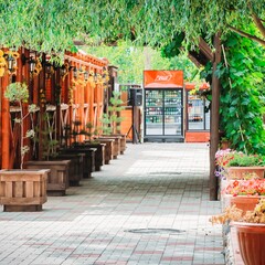 Отель Дилижанс, Яровое, Алтайский край