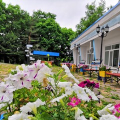 Санаторий Океан, Владивосток, Приморский край