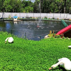 Санаторий Океан, Владивосток, Приморский край