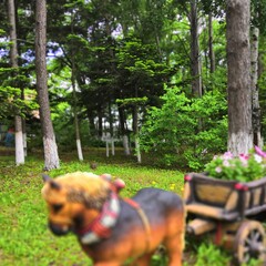 Санаторий Океан, Владивосток, Приморский край