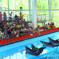 Санаторий Океан, Владивосток, Приморский край