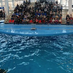 Санаторий Океан, Владивосток, Приморский край