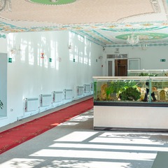 Санаторий Океан, Владивосток, Приморский край