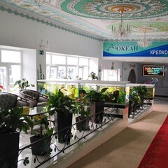 Санаторий Океан, Владивосток, Приморский край