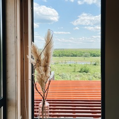 Загородный комплекс ВидОк, Рамонь, Воронежская область