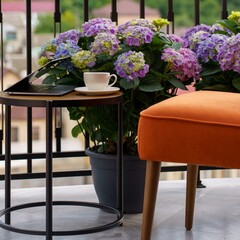 Гостиница Rison Hotel, Махачкала, Республика Дагестан