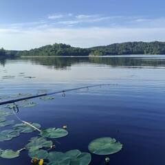 Гостевой дом Островок, Сортавала, Республика Карелия