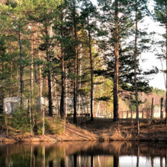 База отдыха Сосна, деревня Ольгино, Красноярский край