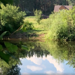 База отдыха Сосна, деревня Ольгино, Красноярский край