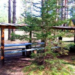 База отдыха Сосна, деревня Ольгино, Красноярский край