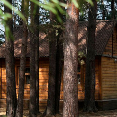 База отдыха Сосна, деревня Ольгино, Красноярский край