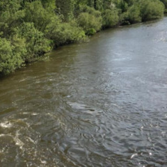 База отдыха Сосна, деревня Ольгино, Красноярский край