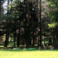 База отдыха Сосна, деревня Ольгино, Красноярский край