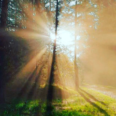 База отдыха Сосна, деревня Ольгино, Красноярский край