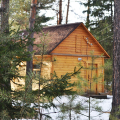 База отдыха Сосна, деревня Ольгино, Красноярский край