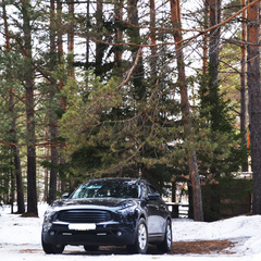 База отдыха Сосна, деревня Ольгино, Красноярский край