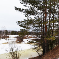 База отдыха Сосна, деревня Ольгино, Красноярский край
