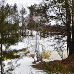 База отдыха Сосна, деревня Ольгино, Красноярский край