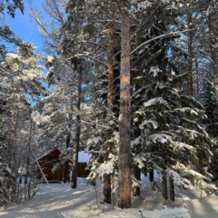 База отдыха Сосна, деревня Ольгино, Красноярский край