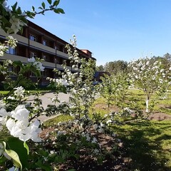 Санаторий Маслянинский социально-оздоровительный центр, Новосибирская область