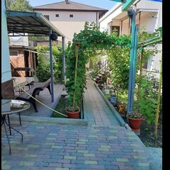 Гостевой дом Виноградная аллея, Геленджик, Краснодарский край