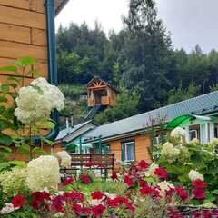 Гостевой дом На здоровье, Белокуриха, Алтайский край