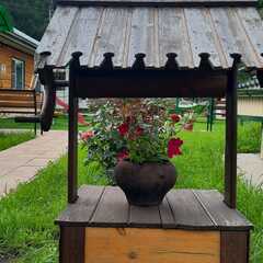 Гостевой дом На здоровье, Белокуриха, Алтайский край