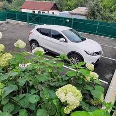 Гостевой дом На здоровье, Белокуриха, Алтайский край