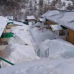 Гостевой дом На здоровье, Белокуриха, Алтайский край