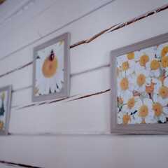 Гостевой дом На здоровье, Белокуриха, Алтайский край