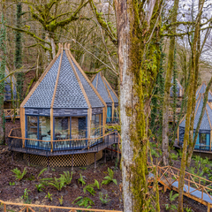 Отель Ривер сайд резорт и спа, Сочи, Краснодарский край