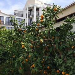 Отель Гега, Гагра