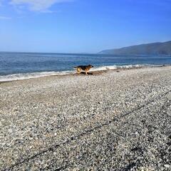 Отель Гега, Гагра