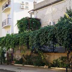 Гостевой дом Марина, Сочи, Краснодарский край